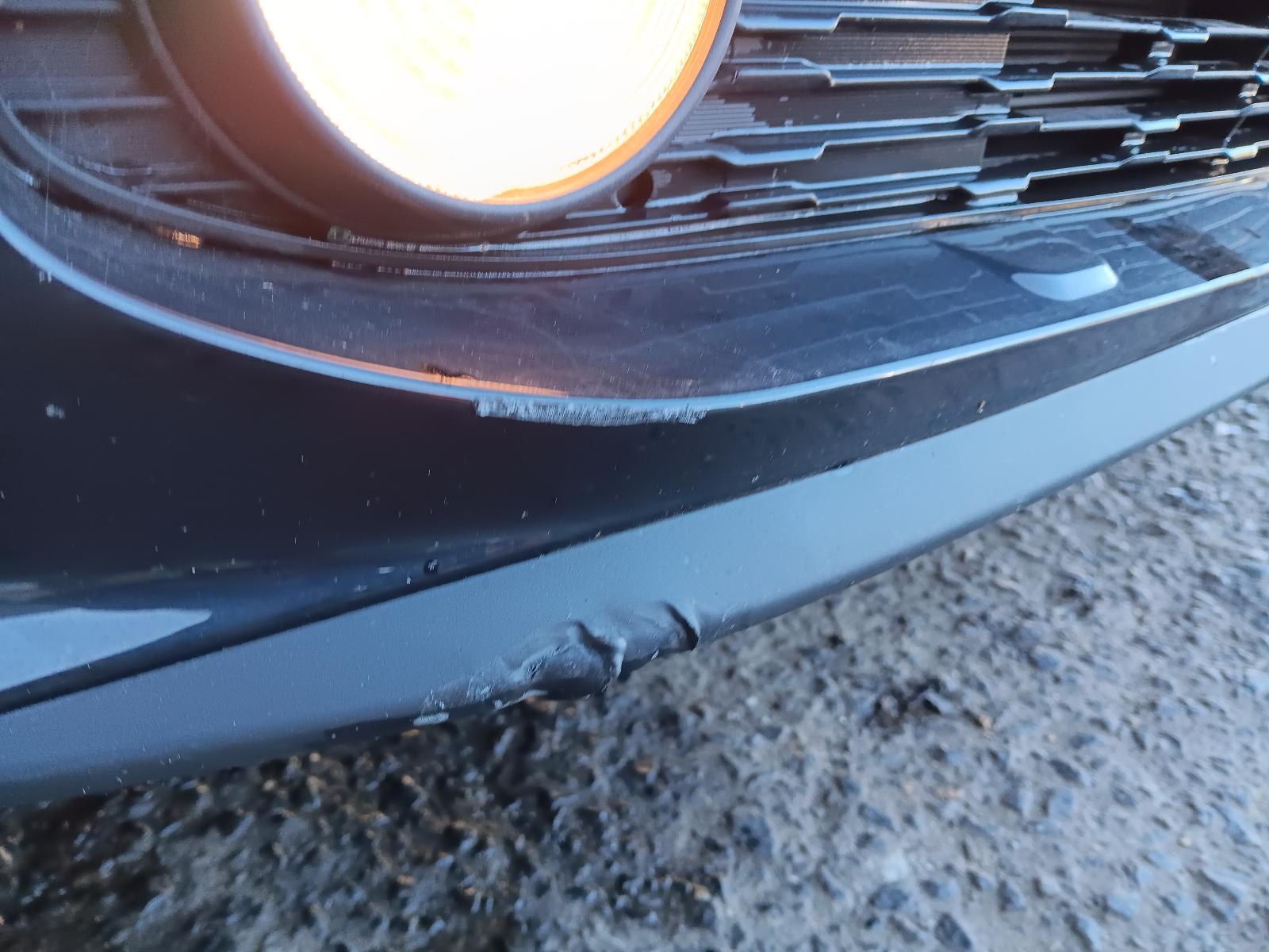 Gallery image 9