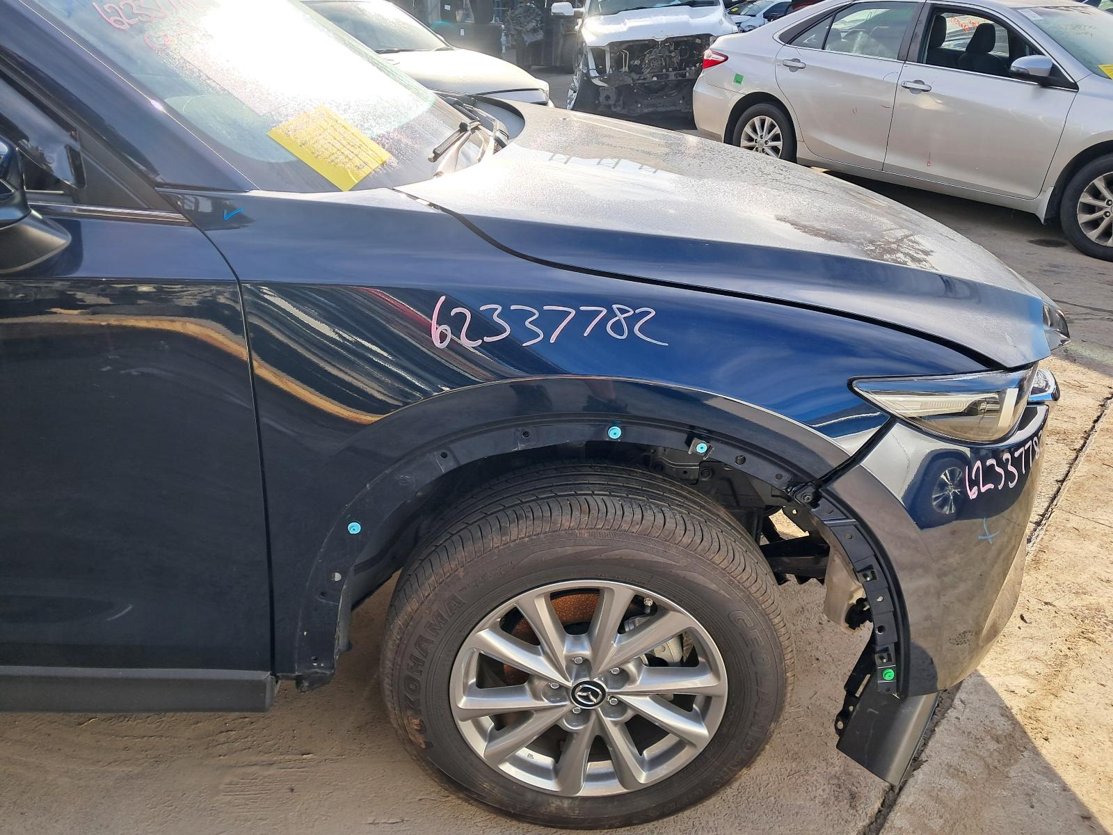Gallery image 12