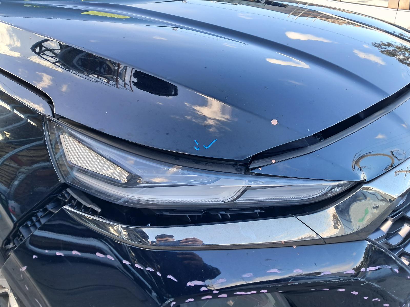 Gallery image 6