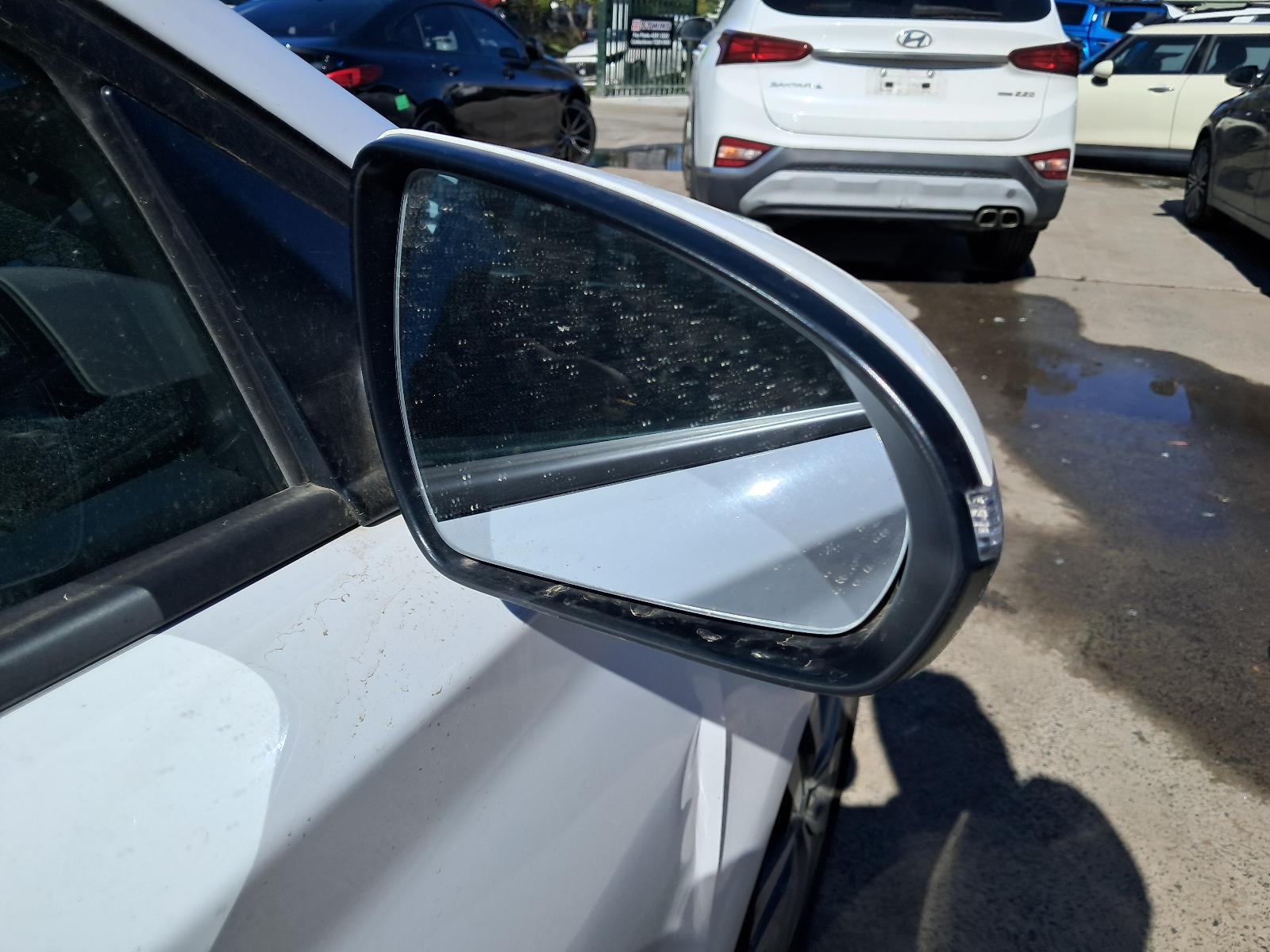 Gallery image 12