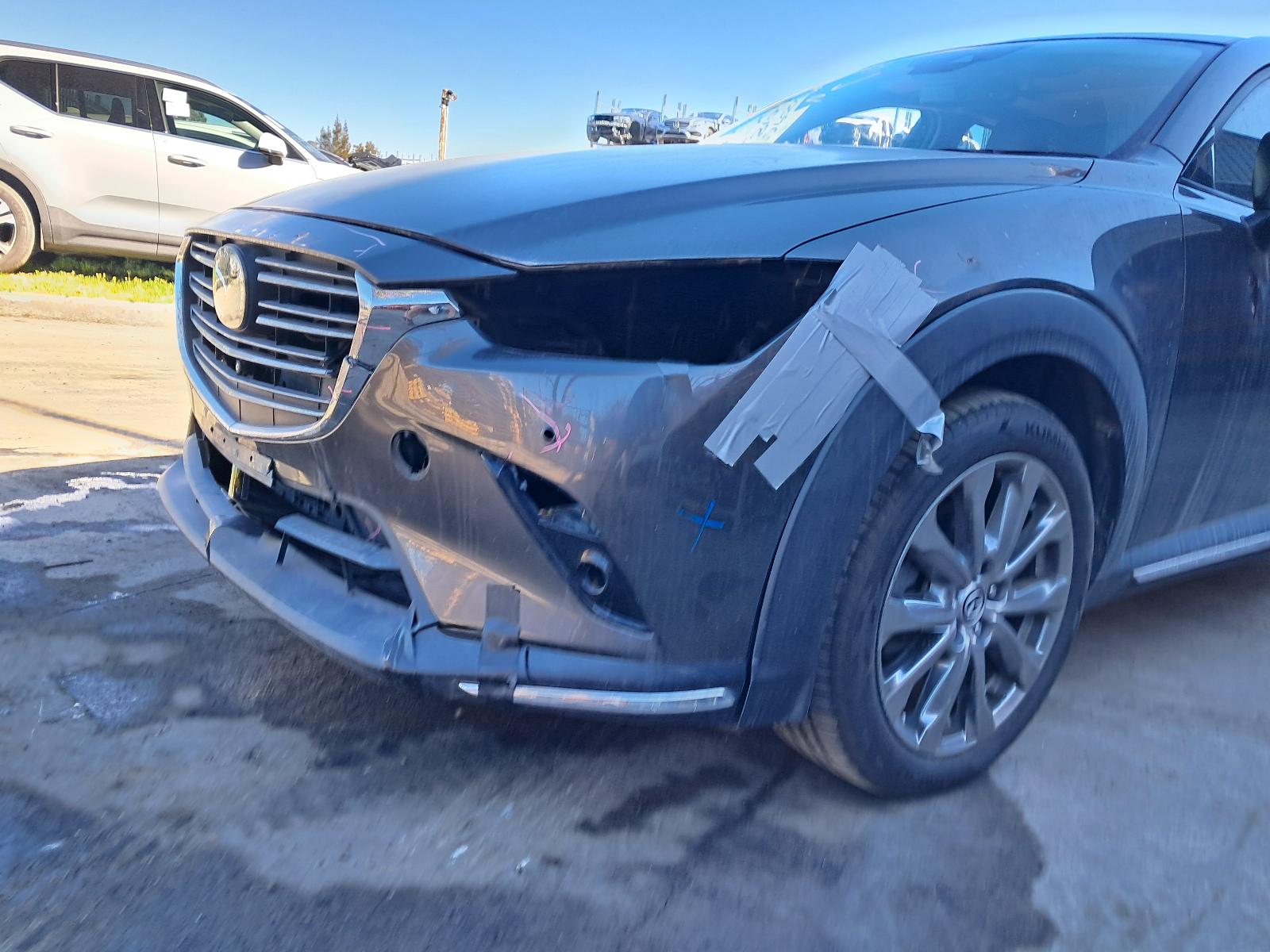 Gallery image 7