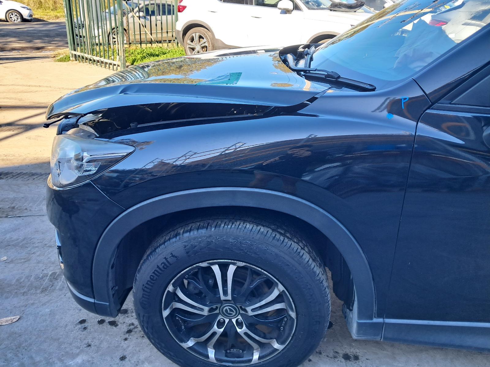 Gallery image 10