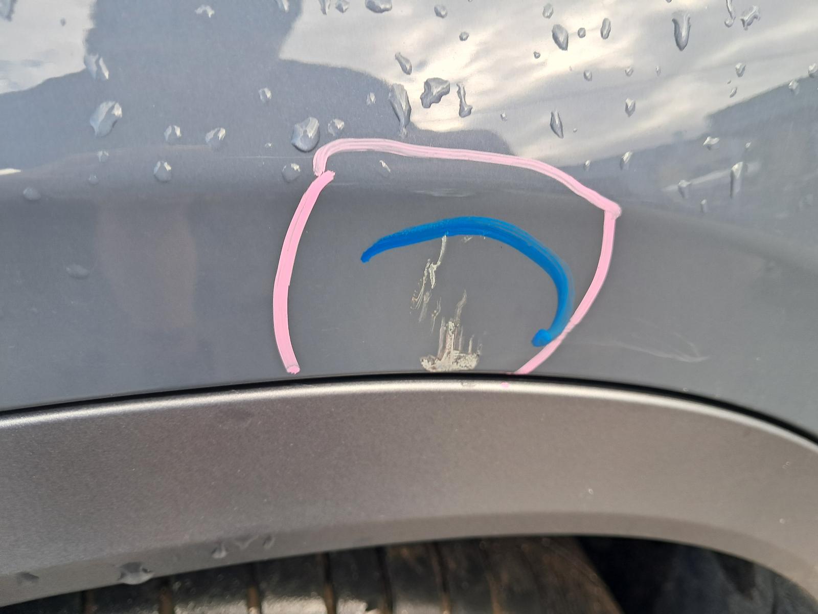 Gallery image 13