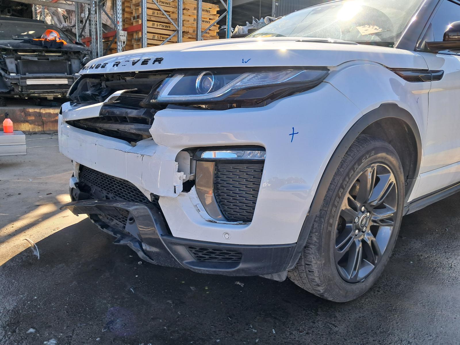 Gallery image 7