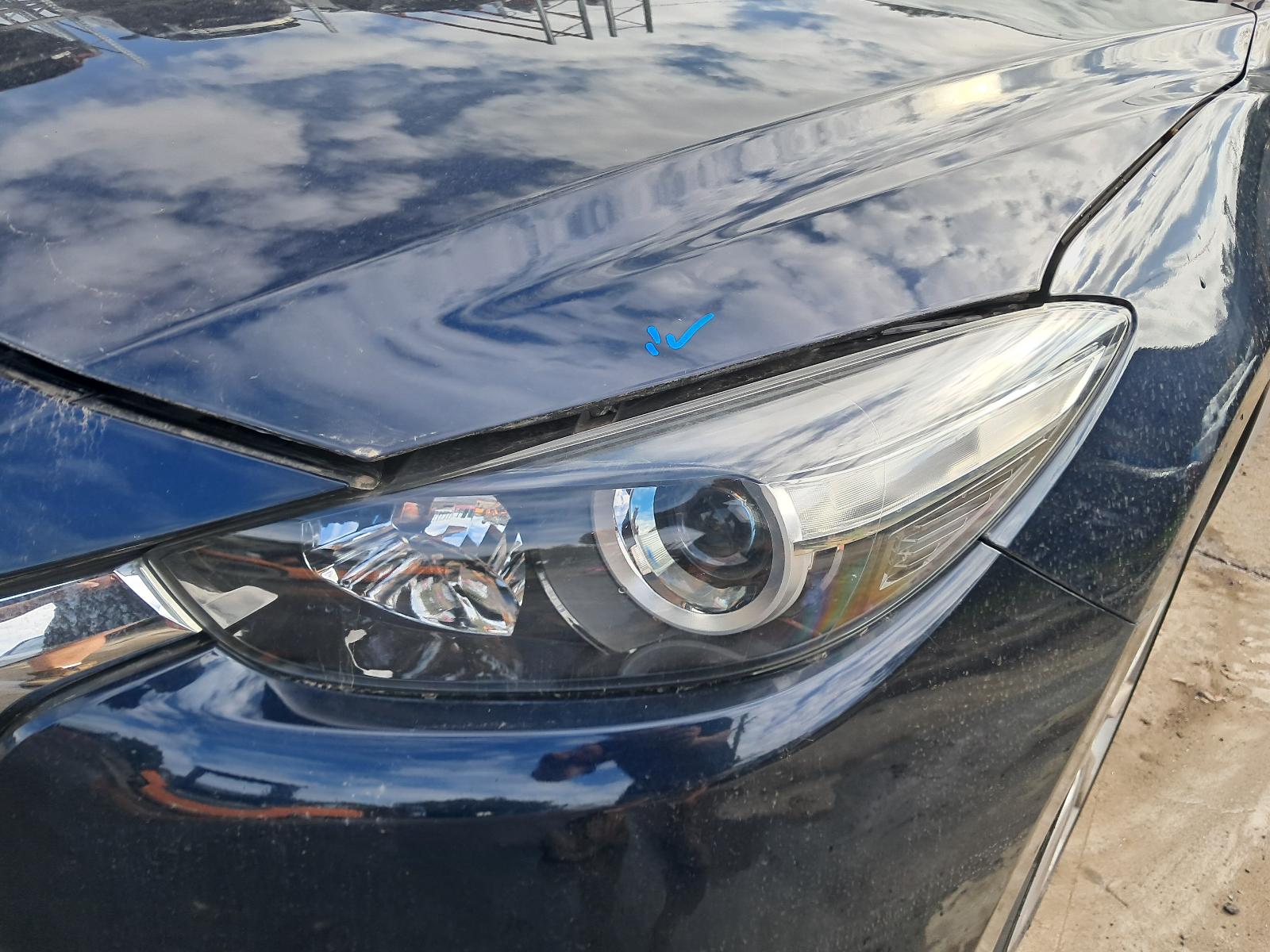 Gallery image 5