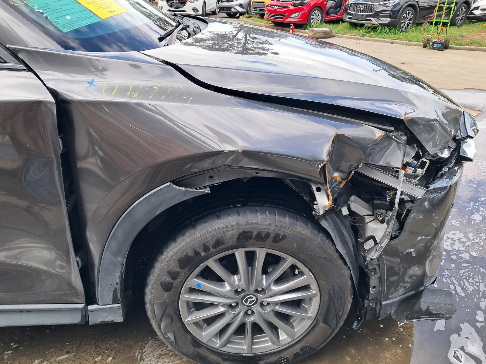 Gallery image 11