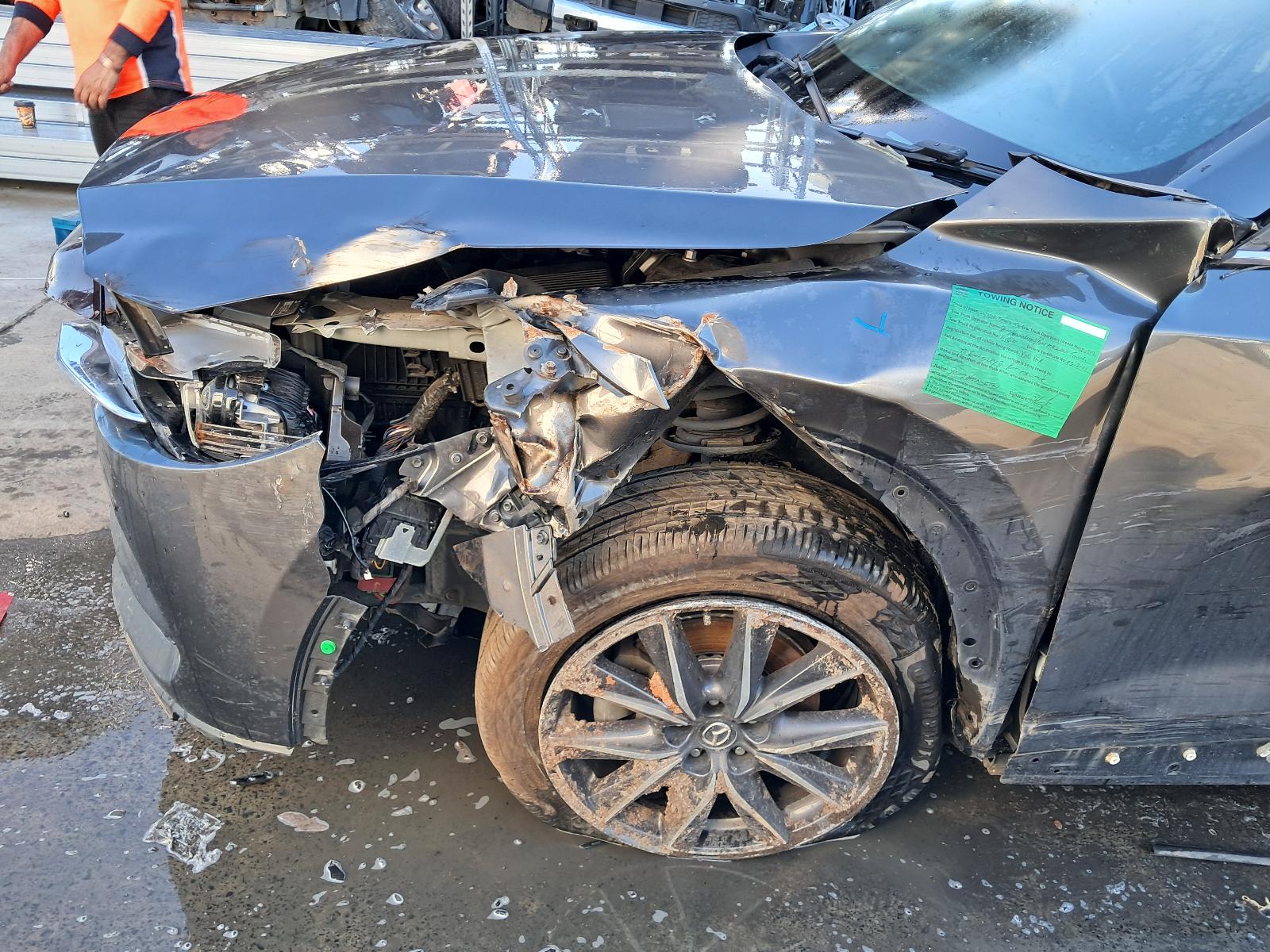 Gallery image 11