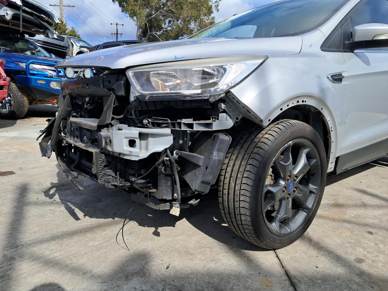 Gallery image 7