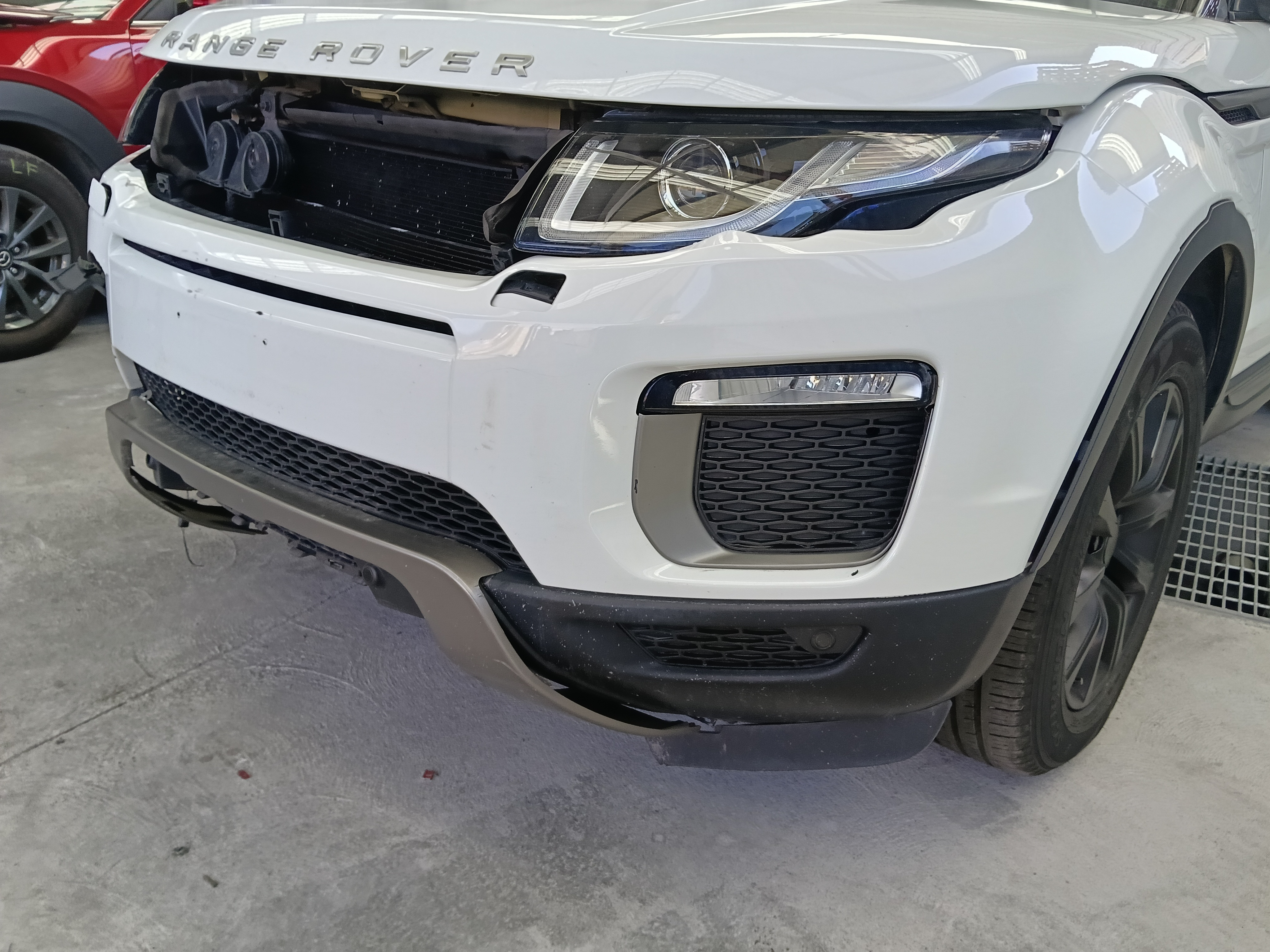 Gallery image 8