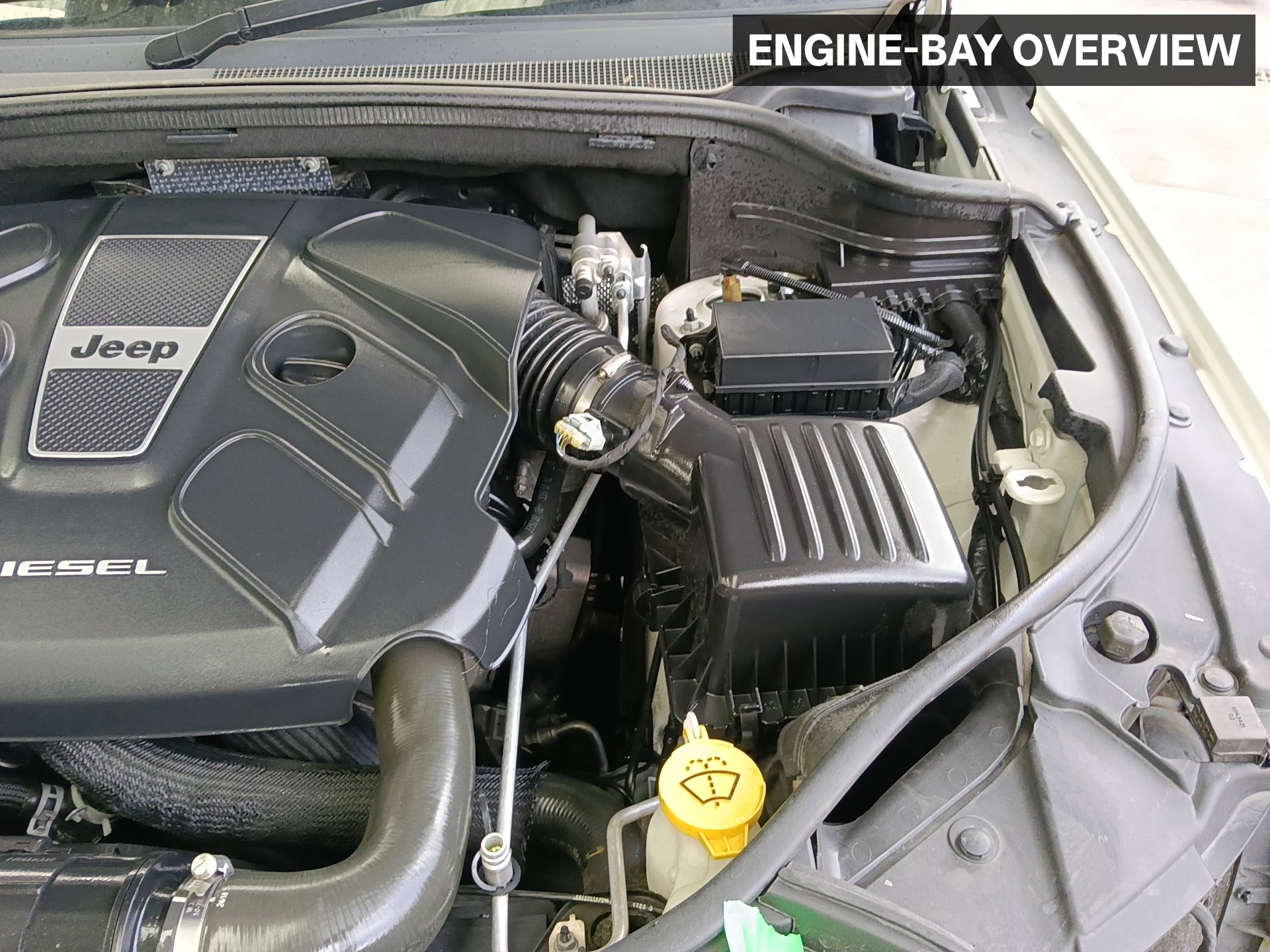 Gallery image 4