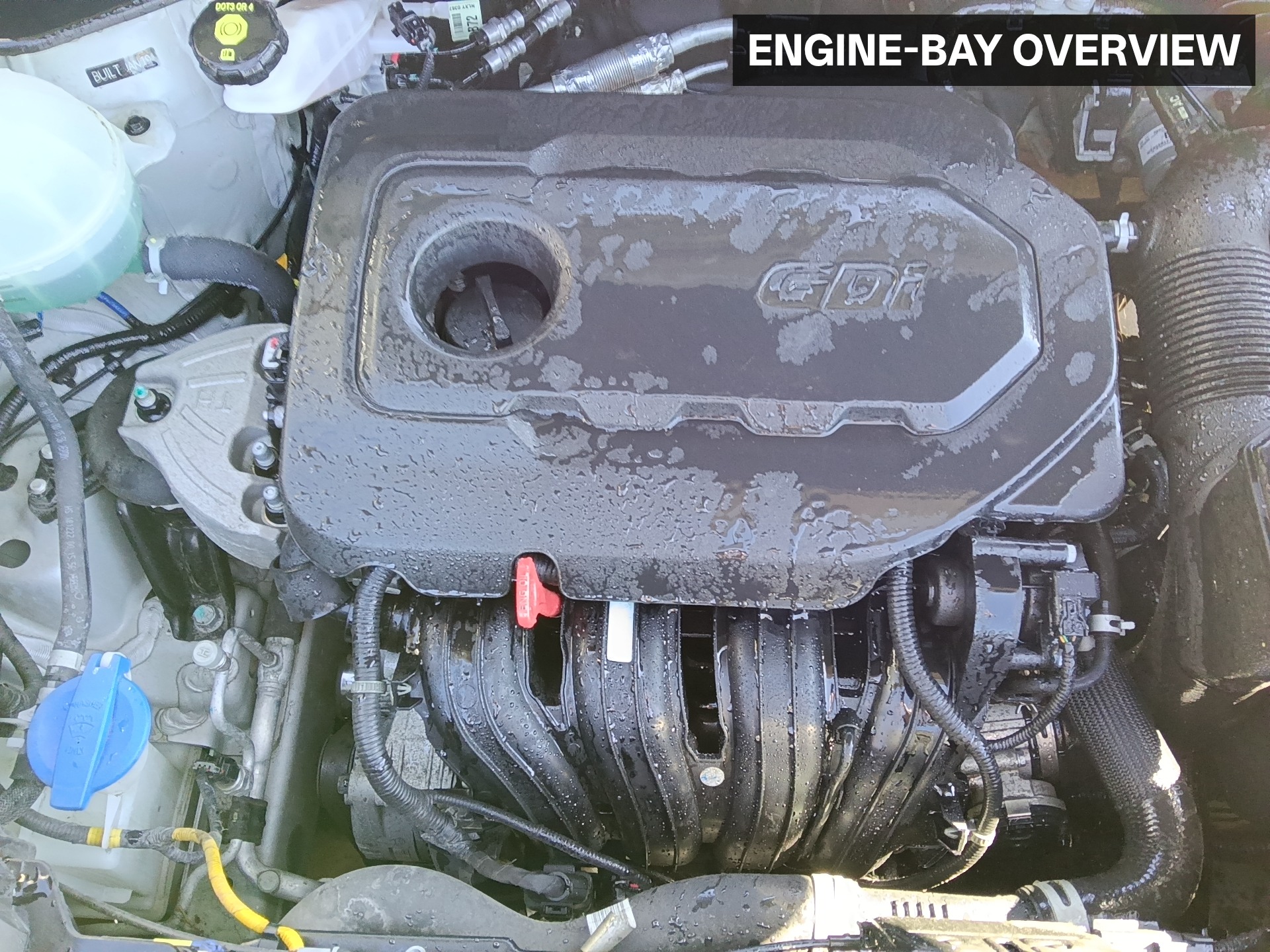 Gallery image 2