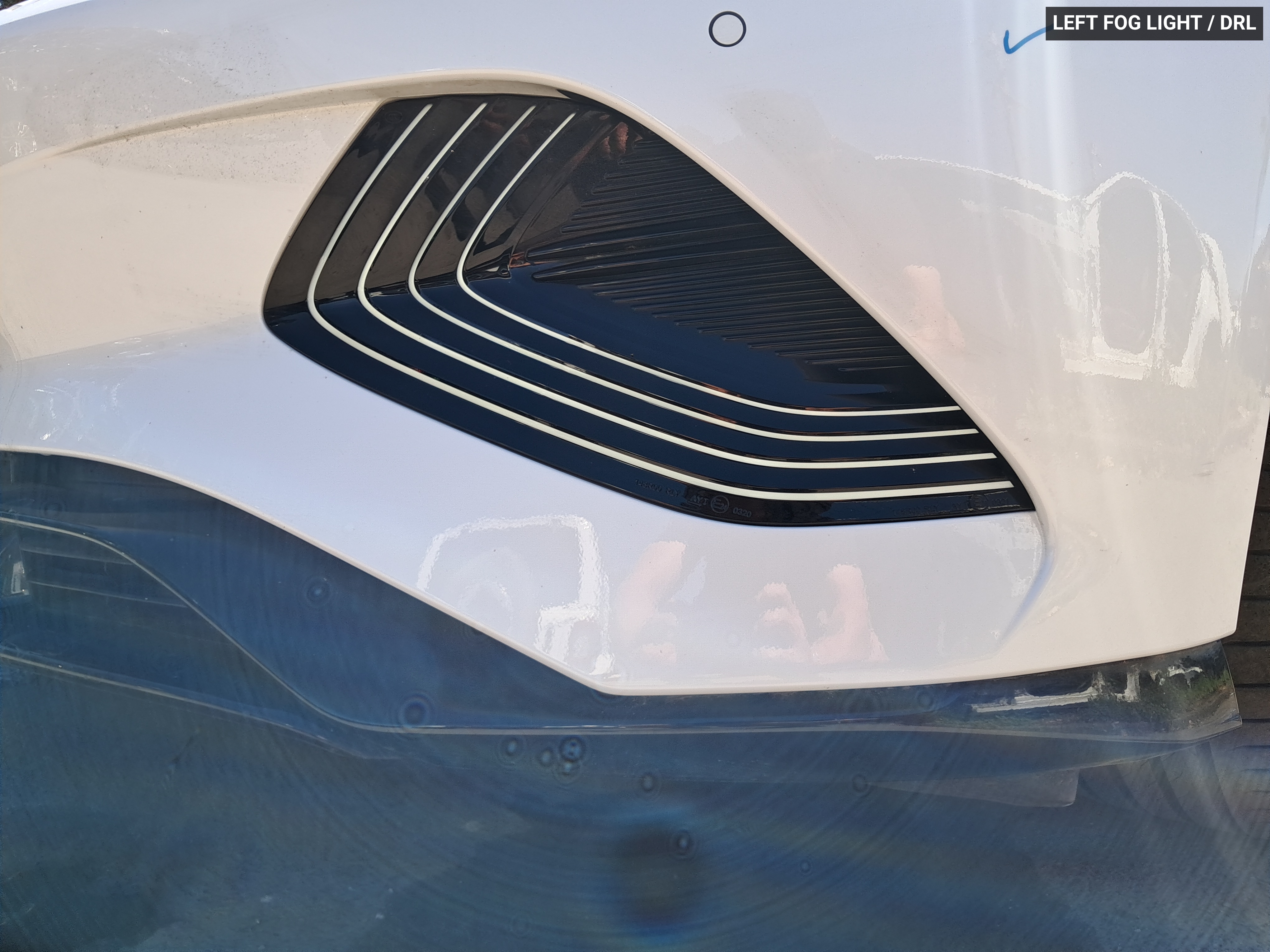 Gallery image 12
