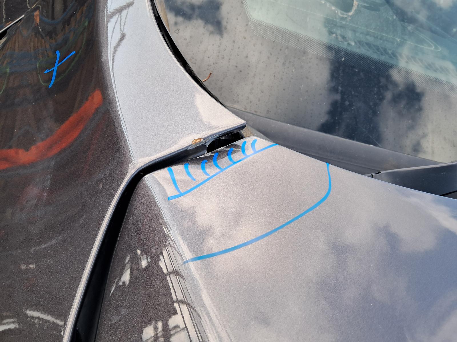 Gallery image 10