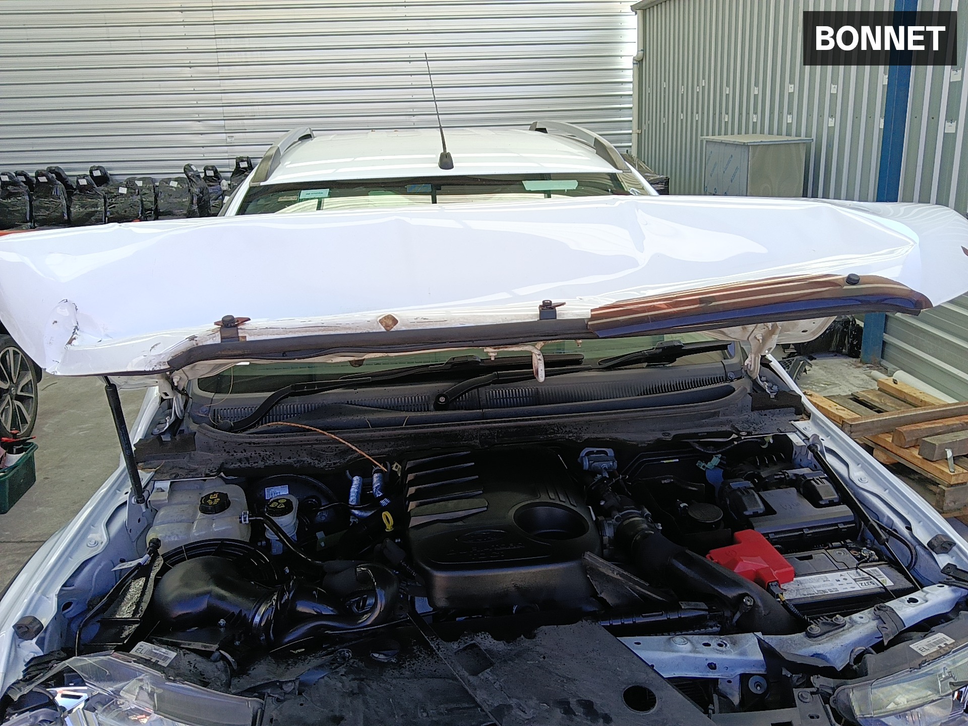 Gallery image 12