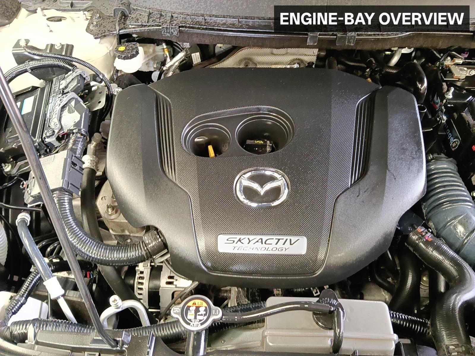 Gallery image 2