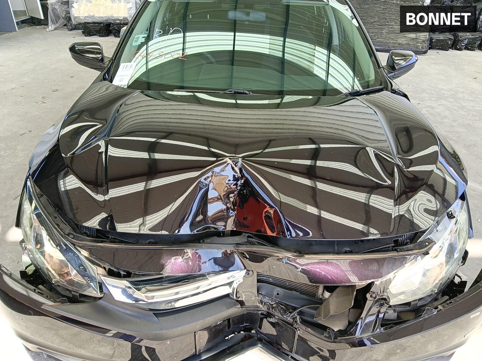Gallery image 12