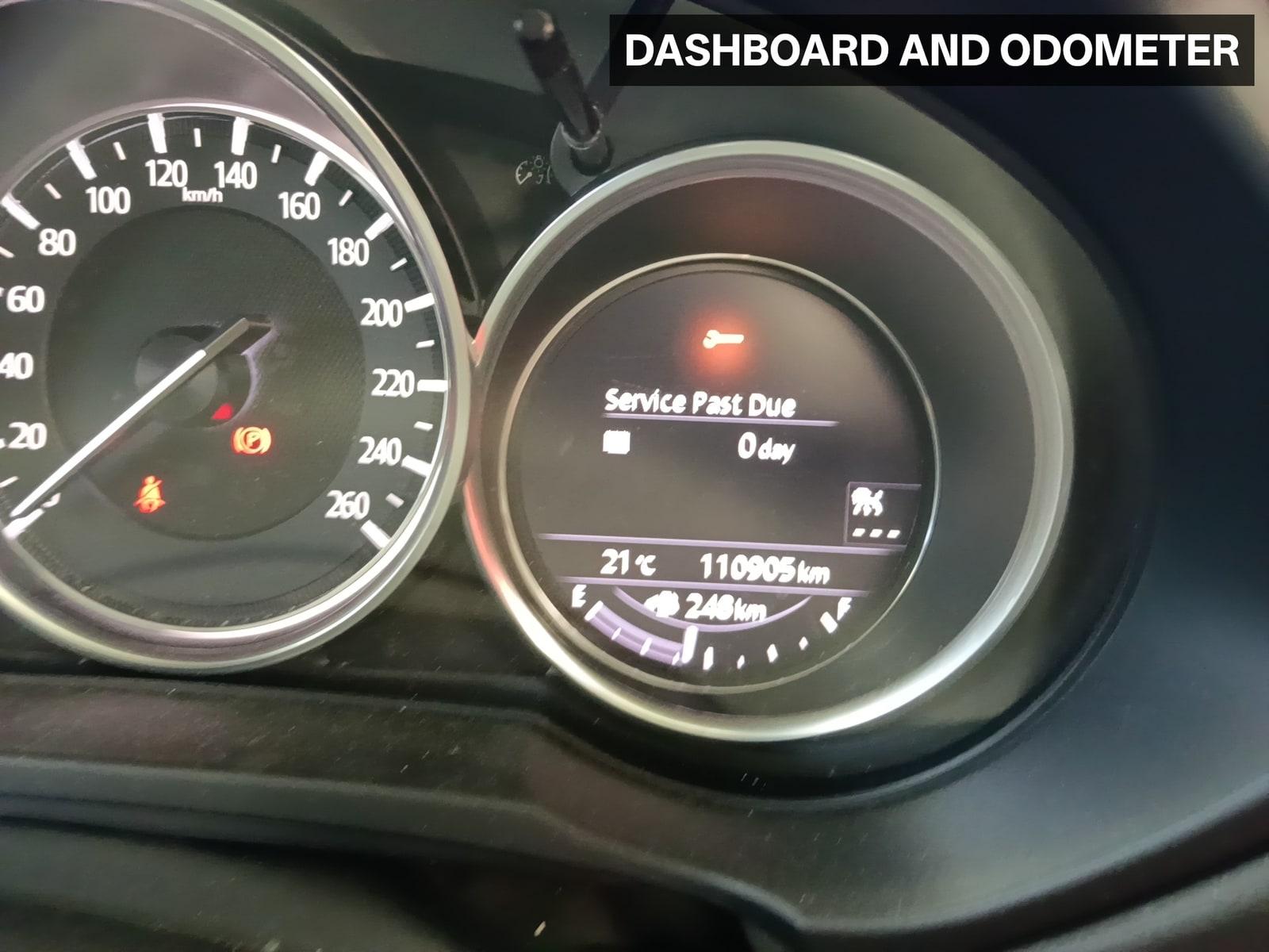 Gallery image 6