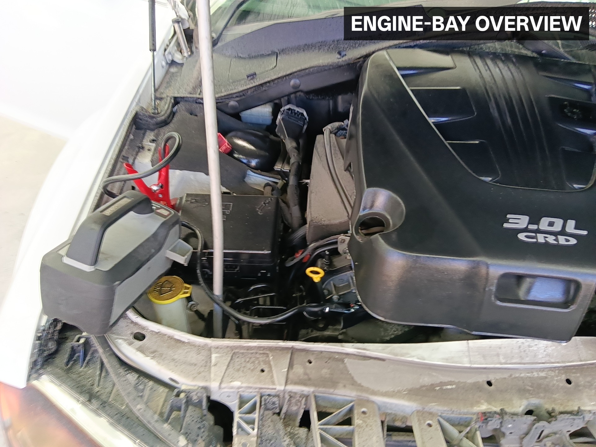 Gallery image 3