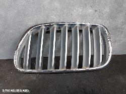 2009 Bmw X3 Grille 0000104894